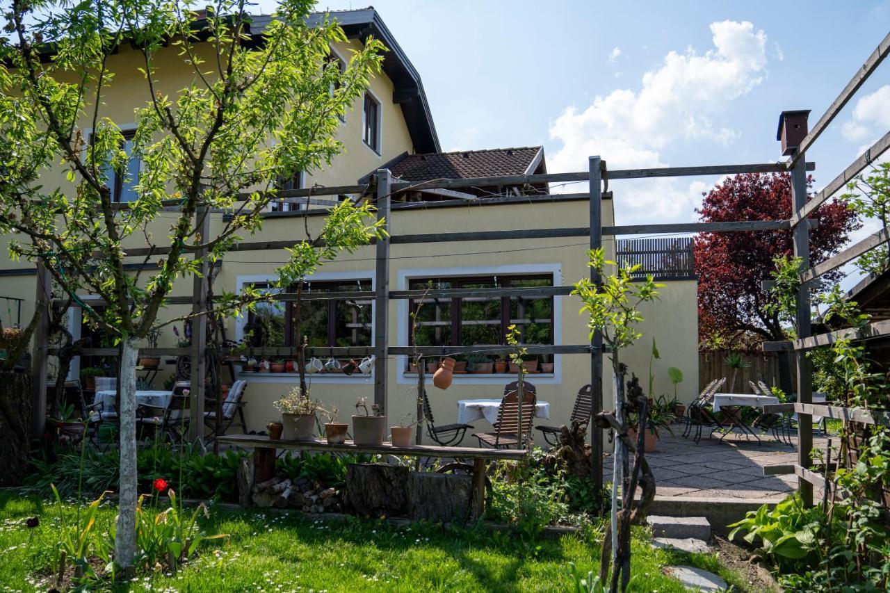 Gaestezimmer Ilse Brauneis Hotel Mautern Exterior photo